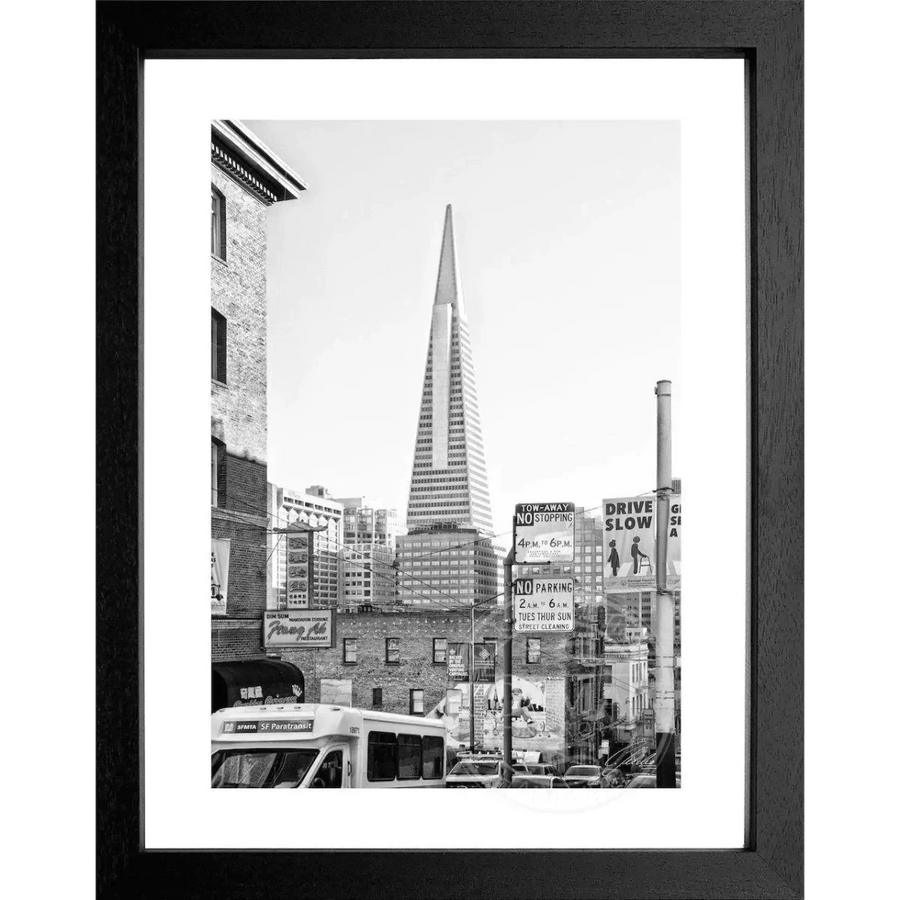 Cosman-Interior Poster San Francisco SF05
